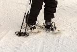 Sneeuwschoenen