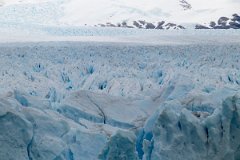 Perito Moreno 28