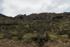 NP Torres del Paine 12