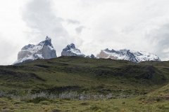 NP Torres del Paine 17