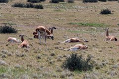 NP Torres del Paine 3
