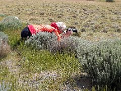 NP Torres del Paine 4