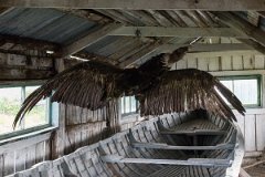 Estancia Harberton 16