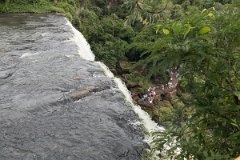 Iguazu falls 24