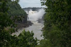 Iguazu falls 37