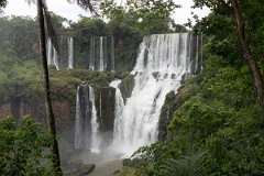 Iguazu falls 50