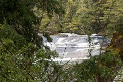 Brazo de la Tristeza 15