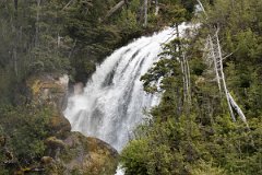 Brazo de la Tristeza 5