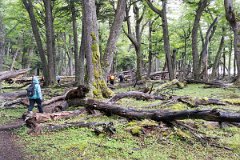 Lago Del Desierto 18