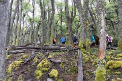 Lago Del Desierto 20