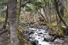 Lago Del Desierto 21