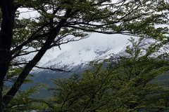 Lago Del Desierto 22