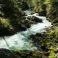 Vintgar Gorge 17