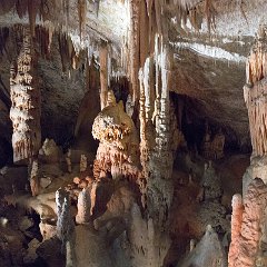 Postojna Cave 14