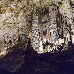 Postojna Cave 4