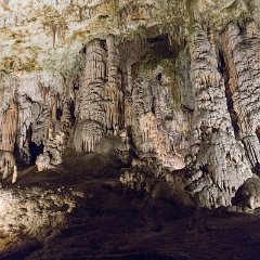Postojna Cave 5