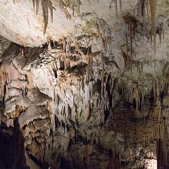 Postojna Cave 9